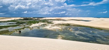Camocim, Jericoacoara, Brezilya 'da Ceara' daki Funil Dune, Tatajuba Sahili 'nde fayton turu.