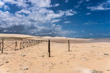 Camocim, Jericoacoara, Brezilya 'da Ceara' daki Funil Dune, Tatajuba Sahili 'nde fayton turu.
