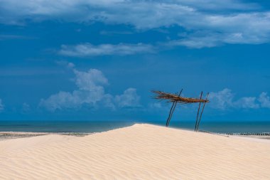 Camocim, Jericoacoara, Brezilya 'da Ceara' daki Funil Dune, Tatajuba Sahili 'nde fayton turu.