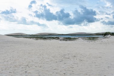 Brezilya 'daki Jericoacoara' daki Amancio gölüne at arabası turu. Ceara 'nın Kumulları