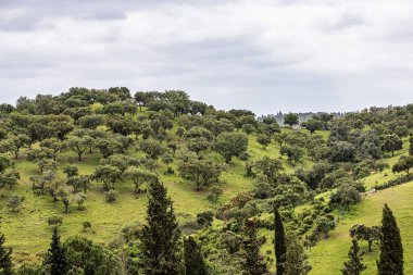 Mertola, Portekiz, Alentejo yakınlarındaki doğal do Vale do Guadiana 'da yabani çayırları, nehirleri ve şelaleleri olan güzel bir manzara.