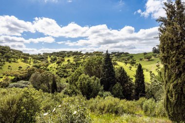 Mertola, Portekiz, Alentejo yakınlarındaki doğal do Vale do Guadiana 'da yabani çayırları, nehirleri ve şelaleleri olan güzel bir manzara.