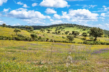 Mertola, Portekiz, Alentejo yakınlarındaki doğal do Vale do Guadiana 'da yabani çayırları, nehirleri ve şelaleleri olan güzel bir manzara.