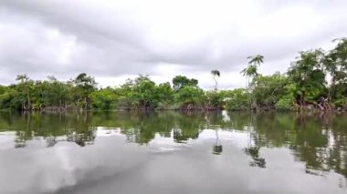 Barreirinhas, Lencois Maranhenses 'ten Brezilya' daki Preguica Nehri 'ne tekne gezisi. Preguicas Nehri, Maranhao eyaletinin Lencois Maranhenses bölgesinde yer alan bir su yolu..