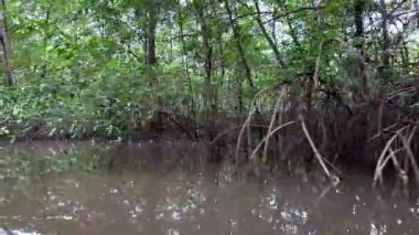Barreirinhas, Lencois Maranhenses 'ten Brezilya' daki Preguica Nehri 'ne tekne gezisi. Preguicas Nehri, Maranhao eyaletinin Lencois Maranhenses bölgesinde yer alan bir su yolu..