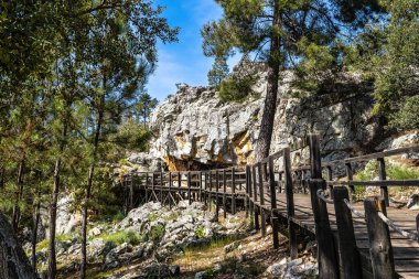 Junco Vadisi 'ndeki kaya resimleri, Arronches, Portekiz' deki Alentejo.