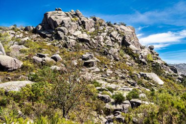 Portekiz 'deki Peneda Geres ulusal parkında Penameda Tepesi' nin etrafında yürüyorum. Pantano da Peneda