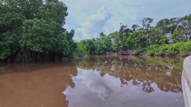 Igarape do Urubu Nehri, Delta das Canarias, Ilha das Canarias, Brezilya 'da tekne gezisi. Amazon yağmur ormanları. Güney Amerika