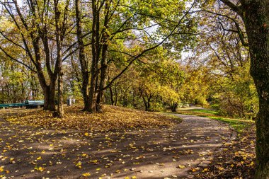 Münih, Bavyera, Almanya 'daki Olimpik Park yakınlarındaki Luitpold parkının sonbahar manzarası