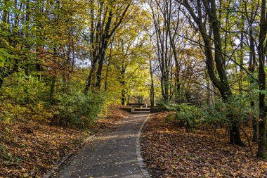 Münih, Bavyera, Almanya 'daki Olimpik Park yakınlarındaki Luitpold parkının sonbahar manzarası