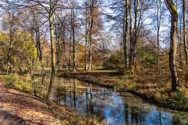 Münih 'in ünlü dinlenme yeri Englischer Garten' da altın sonbahar manzarası. Düşmüş yaprakları ve altın güneş ışığı olan İngiliz bahçesi. Münih, Bavyera, Almanya
