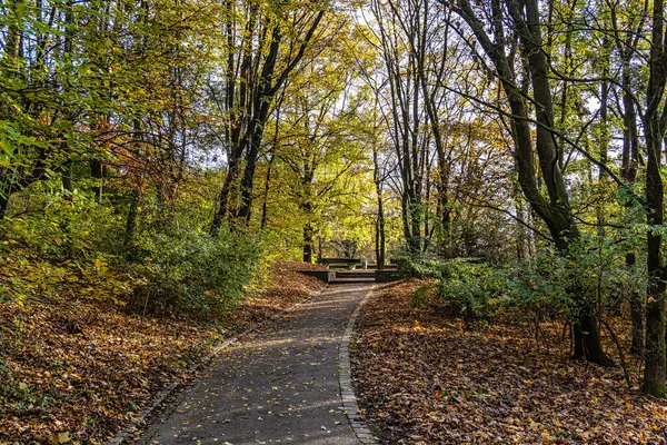 Münih, Bavyera, Almanya 'daki Olimpik Park yakınlarındaki Luitpold parkının sonbahar manzarası