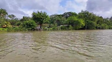 Brezilya 'nın kuzeyinde yer alan Belem do Para' daki Guama Nehri 'nde tekne turu. Amazon ormanlarının oradaki doğal yeşil alan..
