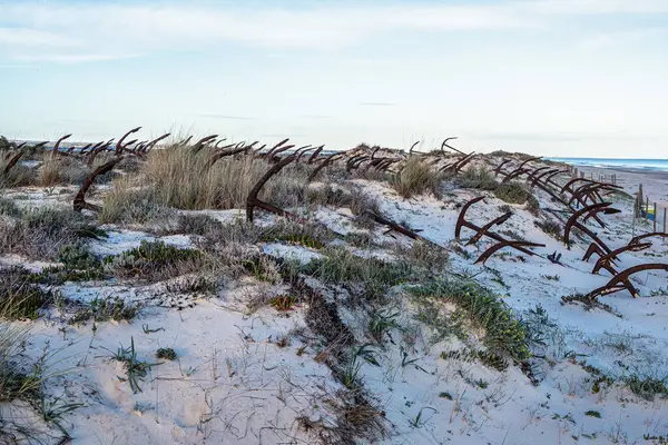 Portekiz, Algarve, Tavira 'daki Praia do Barril plajındaki Anchor Mezarlığı' nın sahilindeki paslı eski çapalar.