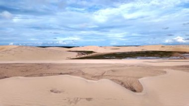 Ilha do Caju 'da Dunas do Mouro, Ilha das Canarias, Brezilya. Delta do Parnaiba ve Delta das Americas. Yeşillik doğa ve kum tepeleri.