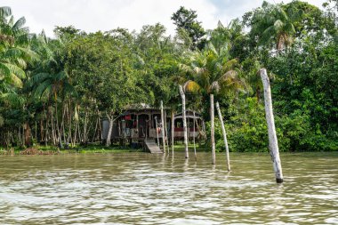 Brezilya 'nın kuzeyinde yer alan Belem do Para' daki Guama Nehri 'nde tekne turu. Amazon ormanlarının oradaki doğal yeşil alan..