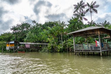 Brezilya 'nın kuzeyinde yer alan Belem do Para' daki Guama Nehri 'nde tekne turu. Amazon ormanlarının oradaki doğal yeşil alan..