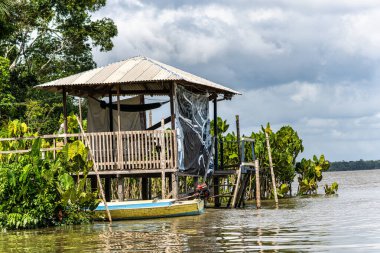 Brezilya 'nın kuzeyinde yer alan Belem do Para' daki Guama Nehri 'nde tekne turu. Amazon ormanlarının oradaki doğal yeşil alan..