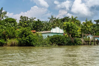 Brezilya 'nın kuzeyinde yer alan Belem do Para' daki Guama Nehri 'nde tekne turu. Amazon ormanlarının oradaki doğal yeşil alan..