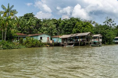 Brezilya 'nın kuzeyinde yer alan Belem do Para' daki Guama Nehri 'nde tekne turu. Amazon ormanlarının oradaki doğal yeşil alan..