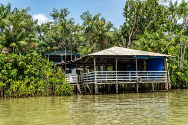 Brezilya 'nın kuzeyinde yer alan Belem do Para' daki Guama Nehri 'nde tekne turu. Amazon ormanlarının oradaki doğal yeşil alan..