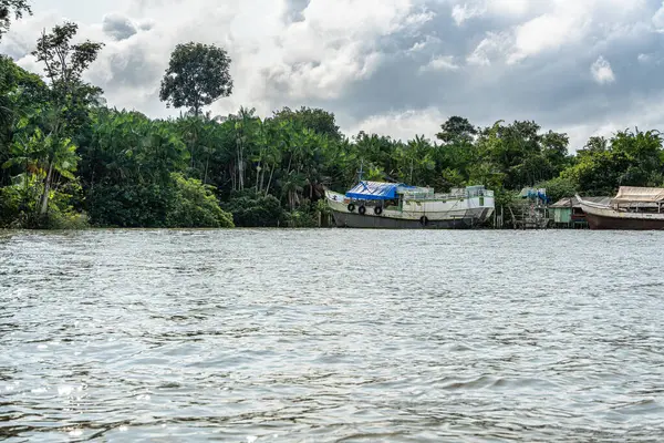 Brezilya 'nın kuzeyinde yer alan Belem do Para' daki Guama Nehri 'nde tekne turu. Amazon ormanlarının oradaki doğal yeşil alan..