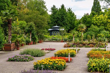 Bavyera, Almanya 'daki Augsburg Botanik Bahçesi' nde yeşil çayırlarda çalı çırpı ve çalı çırpı ağaçları var.