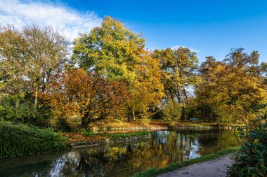 Münih 'in ünlü dinlenme yeri Englischer Garten' da altın sonbahar manzarası. Düşmüş yaprakları ve altın güneş ışığı olan İngiliz bahçesi. Münih, Bavyera, Almanya
