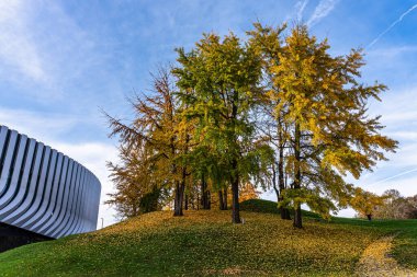 Münih, Almanya 'da Olimpiyat Oyunları' nın altın sonbahar manzarası. Bu 1972 Yaz Olimpiyatları için Münih 'te inşa edilmiş bir Olimpiyat Parkı.
