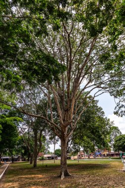 Brezilya Meydanı, Belterra 'da Praca Brasil, Brezilya' da Para. Henry Fords 'un otomobil endüstrisi tarafından bölgede kauçuk keşifleri sırasında kurulan Amerikan köyü.