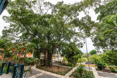 Manaus, Amazon, Brezilya 'daki Palacio Rio Negro. 1910 'da Alman lastik satıcısı Waldemar Scholz tarafından ikamet yeri olarak inşa edilmiş.