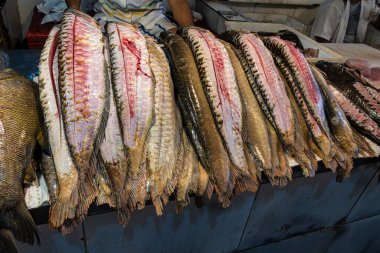 Brezilya 'daki Manaus' ta, Feira Manaus Moderna. Piranha, pirarucu ve diğer tipik Amazon balığı satan popüler balık pazarı.