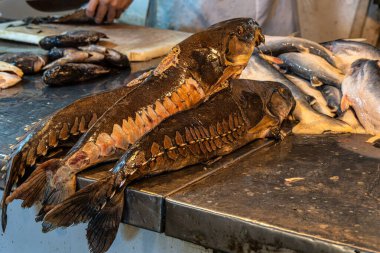 Brezilya 'daki Manaus' ta, Feira Manaus Moderna. Piranha, pirarucu ve diğer tipik Amazon balığı satan popüler balık pazarı.