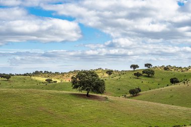 Mertola, Portekiz, Alentejo yakınlarındaki doğal do Vale do Guadiana 'da yabani çayırları, nehirleri ve şelaleleri olan güzel bir manzara.