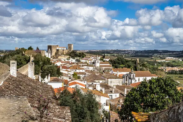 Obidos Kalesi (Portekizce: Castelo de Obidos) Portekiz 'in batısında yer alan Obidos şehrinde yer alan bir ortaçağ sarayıdır.