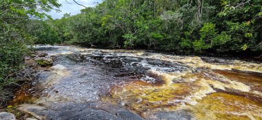 Brezilya 'nın Amazon bölgesindeki Manaus yakınlarındaki Başkan Figueiredo' da Macaws şelalesi. Şelalede bol ve güzel bir güç var.
