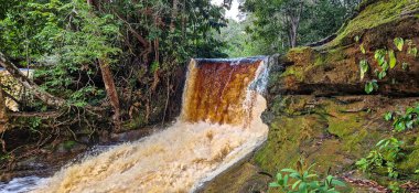 Brezilya 'nın Amazon bölgesindeki Manaus yakınlarındaki Başkan Figueiredo' da Macaws şelalesi. Şelalede bol ve güzel bir güç var.