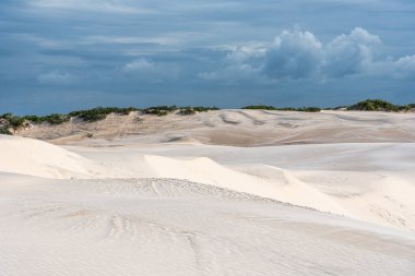 Brezilya 'daki kum tepeleri ve lagoa bonita gölleri, Lencois Maranhenses, Barreirinhas. Taze ve şeffaf su havuzları olan beyaz kum tepeleri.
