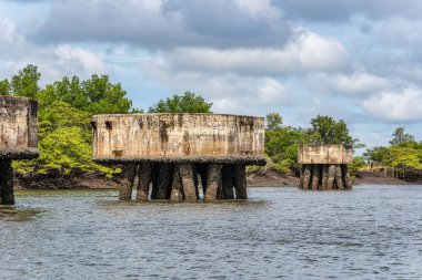 Tutoia, Delta das Canarias, Brezilya 'dan Preguica Nehri' ne tekne gezisi. Amazon yağmur ormanları. Güney Amerika