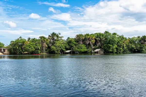 Barreirinhas yakınlarındaki Preguica Nehri 'nde tekne gezisi, Lencois Maranhenses, Maranhao, Brezilya. Preguicas Nehri, Maranhao eyaletinin Lencois Maranhenses bölgesinde yer alan bir su yolu..