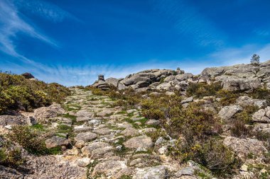 Portekiz 'deki Peneda Geres ulusal parkında Penameda Tepesi' nin etrafında yürüyorum. Pantano da Peneda