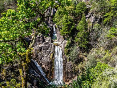 Güzel Arado Şelalesi, Cascata do Arado Kuzey Portekiz 'deki Peneda Geres Ulusal Parkı' nda.