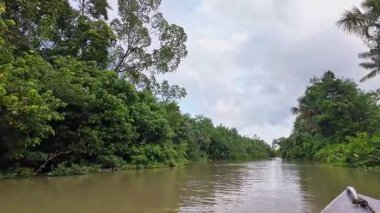 Brezilya 'nın kuzeyinde yer alan Belem do Para' daki Guama Nehri 'nde tekne turu. Amazon ormanlarının oradaki doğal yeşil alan..