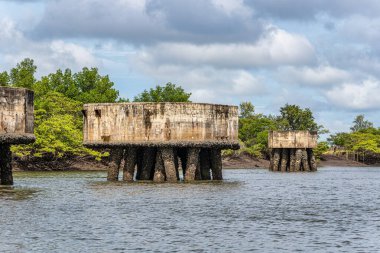 Tutoia, Delta das Canarias, Brezilya 'dan Preguica Nehri' ne tekne gezisi. Amazon yağmur ormanları. Güney Amerika