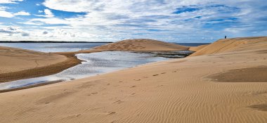 Ilha do Caju 'da Dunas do Mouro, Ilha das Canarias, Brezilya. Delta do Parnaiba ve Delta das Americas. Yeşillik doğa ve kum tepeleri.