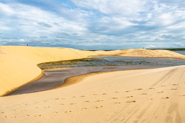 Ilha do Caju 'da Dunas do Mouro, Ilha das Canarias, Brezilya. Delta do Parnaiba ve Delta das Americas. Yeşillik doğa ve kum tepeleri.