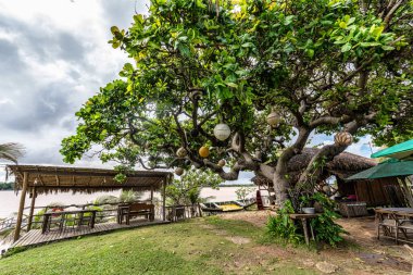 Brezilya 'daki Ilha das Canarias' da bulunan Tipik Orman Locası. Delta do Parnaiba ve Delta das Americas.