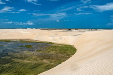 Camocim, Jericoacoara, Brezilya 'da Ceara' daki Funil Dune, Tatajuba Sahili 'nde fayton turu.