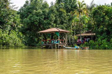 Belem, Brezilya - 13 Aralık 2024: Brezilya 'nın kuzeyinde yer alan Belem do Para' daki Guama Nehri 'nde tekne turu. Amazon ormanlarının oradaki doğal yeşil alan..