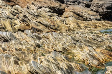 Brezilya 'nın Ceara Eyaleti' ndeki Jericoacoara 'dan Pedra Furada' ya kadar sahil ve plajlar boyunca yol..